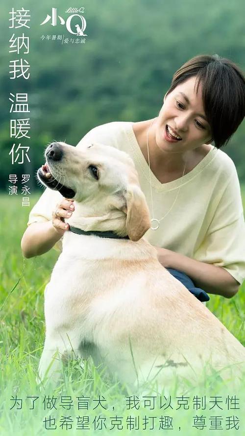 伦敦大学设计学位证